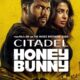 cropped-citadel-honey-bunny-new-trailer-unravels-further-layers-ott-series.jpg